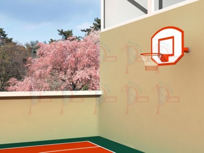 NP 636 - Duvara Monte Basketbol Potası